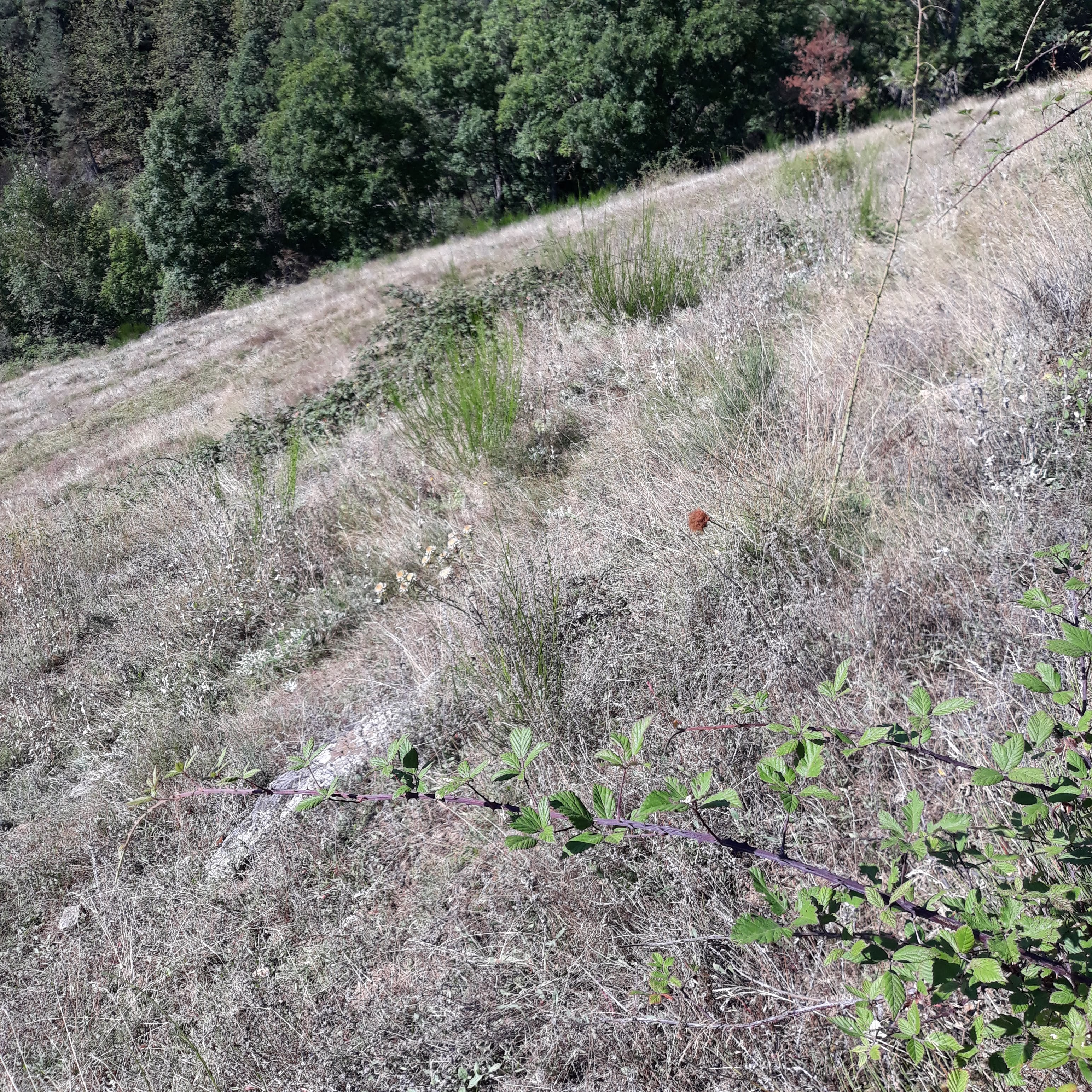 Photo n° 27 de l'avis de bruno. fait le 30/10/2021 à 14:12