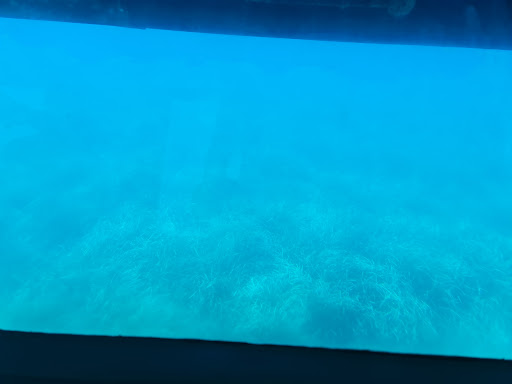 Dive Shop «Sub Aquatic Sports & Service», reviews and photos, 347 Helmer Rd N, Battle Creek, MI 49037, USA