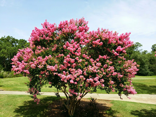 Public Golf Course «Eglin Golf Course», reviews and photos, 1527 Fairway Dr, Niceville, FL 32578, USA