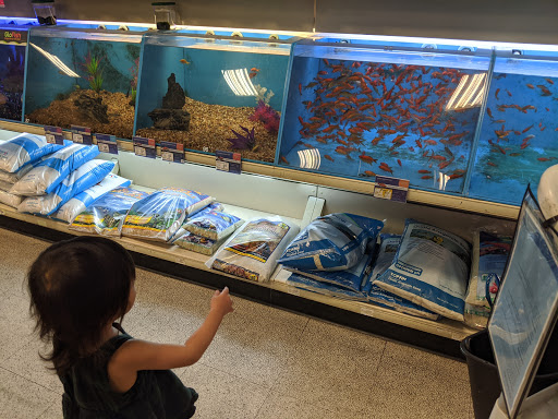 PetSmart image