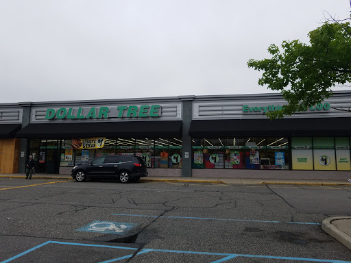 Dollar Store «Dollar Tree», reviews and photos, 5014 Jericho Turnpike, Commack, NY 11725, USA