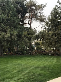 AJ's Tree Pruning & Landscaping