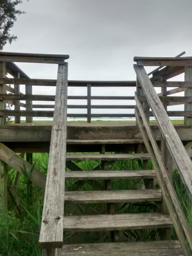 Nature Preserve «James Farm Ecological Preserve», reviews and photos, 30048 Cedar Neck Rd, Ocean View, DE 19970, USA