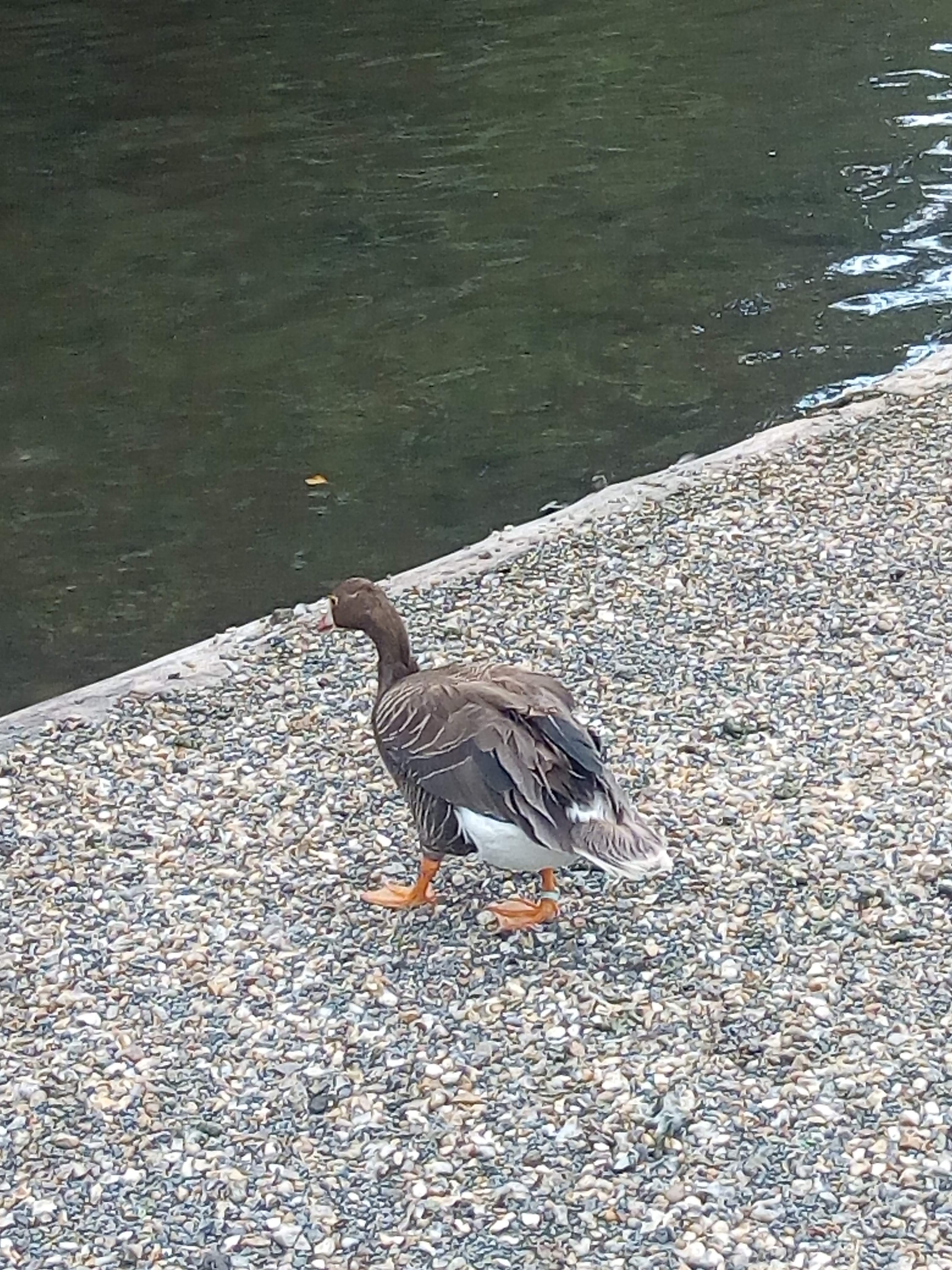 Photo n° 1 de l'avis de France.u fait le 11/10/2018 à 15:31