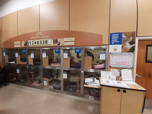 Pet Supply Store «PetSmart», reviews and photos, 4101 Oakwood Blvd, Hollywood, FL 33020, USA