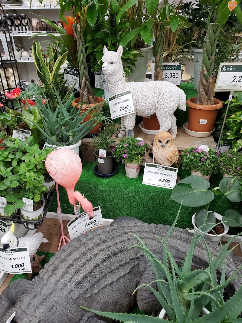 セキチュー 鶴川店 東京都町田市金井町 ホームセンター ホームセンター グルコミ