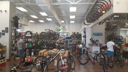Bicycle Store «City Bikes Pembroke Pines», reviews and photos, 671 NW 100th Pl, Hollywood, FL 33024, USA