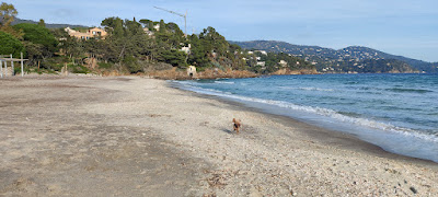 ATOM à Le Lavandou