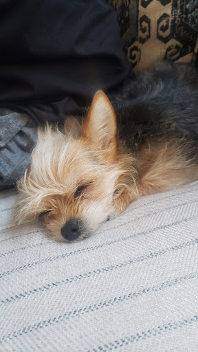 Park «Rainbow Family Park», reviews and photos, 7151 W Oakey Blvd, Las Vegas, NV 89117, USA