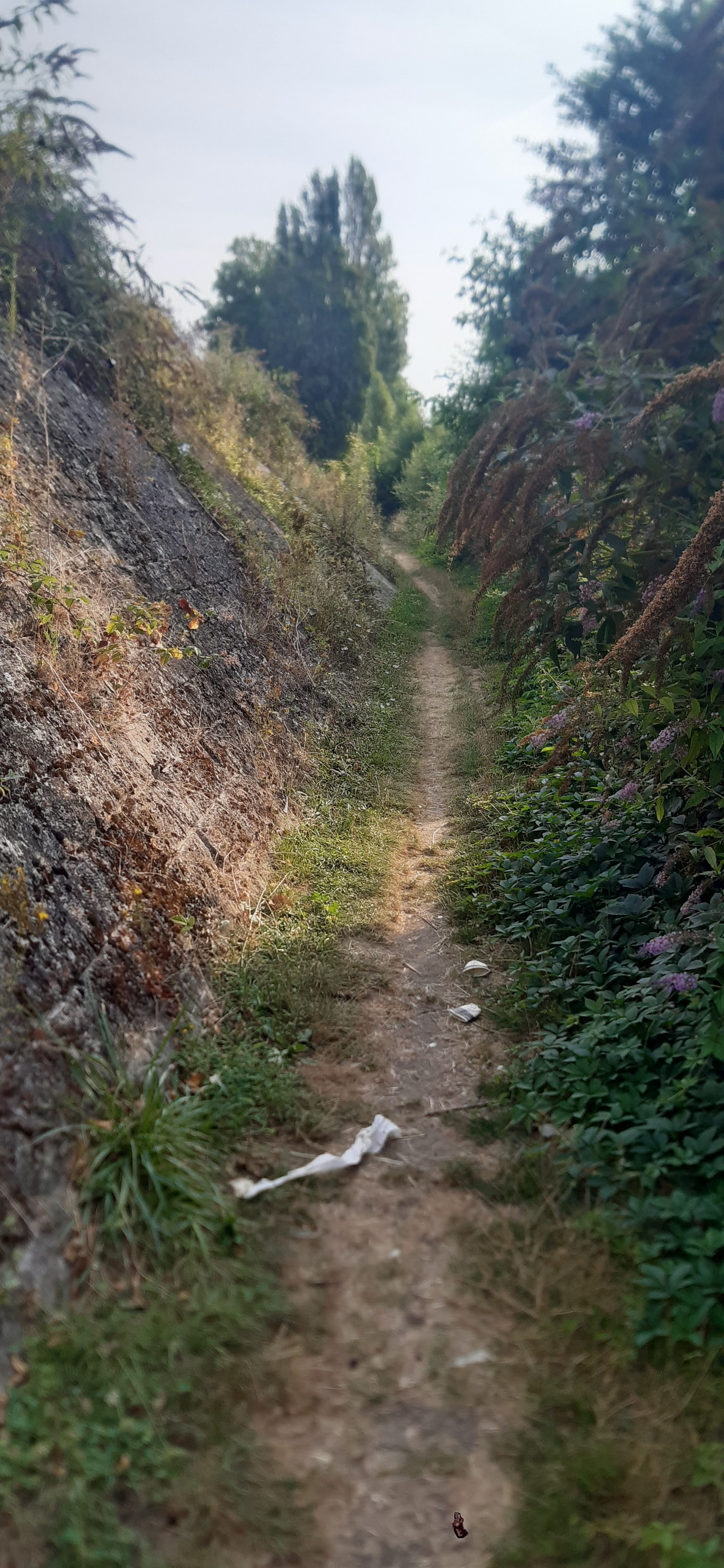 Photo n° 2 de l'avis de Jean-Philippe.O fait le 19/07/2022 à 10:59