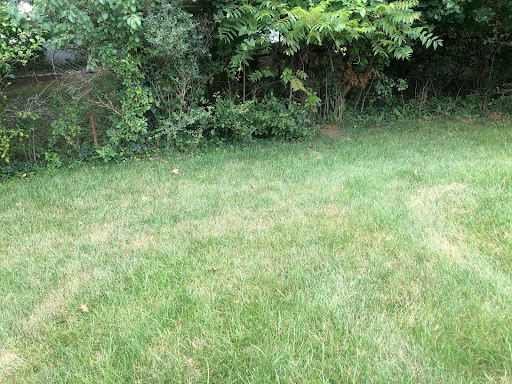 One Call Lawn Care image 3