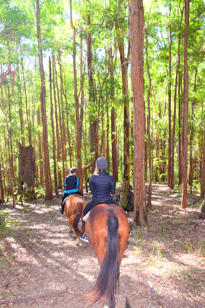 HWH Stables - Riding School & Trail Rides, Coffs Harbour