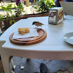 Photo n°2 de l'avis de Raffaello.r fait le 18/05/2022 à 09:09 sur le  Chiosco Le Mulina à Florence