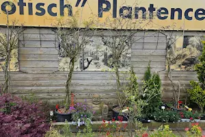 Keda bv | ‘Exotisch’ plantencentrum ospel image