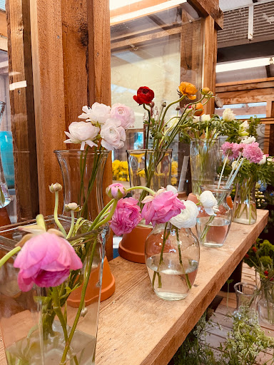 Plant Nursery «Sturtz & Copeland Florist & Greenhouses», reviews and photos, 2851 Valmont Rd, Boulder, CO 80301, USA