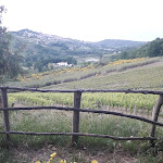 Photo n°2 de l'avis de mirtia.a fait le 15/07/2021 à 14:45 sur le  Agriturismo Campoletizia à Miglianico