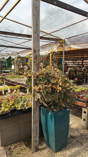 Plant nursery El Monte