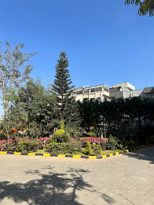 Google Maps image 11