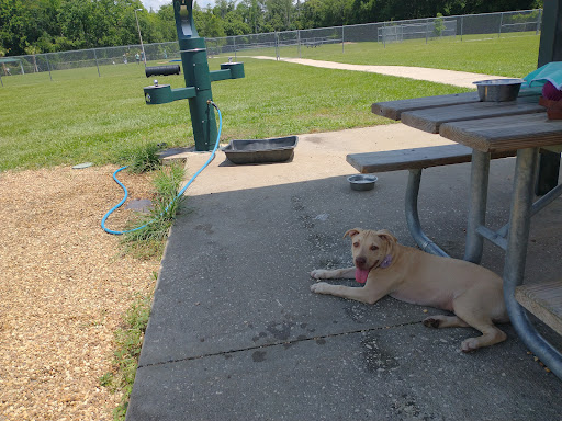 Dog Park «Logan Gate Dog Park», reviews and photos, 7374 Monterey Blvd, Tampa, FL 33610, USA
