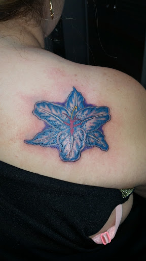 Expressions Tattoo & Body Piercing, 1619 N Florida Ave, Hernando, FL 34442, USA, 