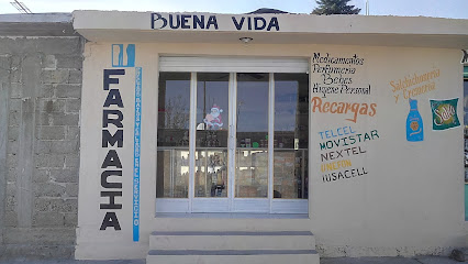 Farmacia Buena Vida Calle Emiliano Zapata Nte. 5, Santiago Coltzingo, Pue. Mexico