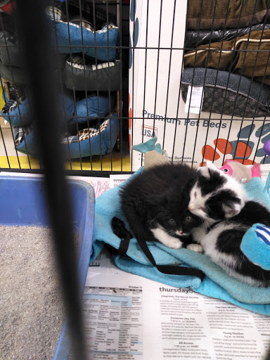 Pet Store «Yuppy Puppy Pet Shop», reviews and photos, 292 Frantz Rd, Stroudsburg, PA 18360, USA