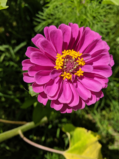 Tourist Attraction «Barn Hill Preserve», reviews and photos, 11370 LA-955, Ethel, LA 70730, USA