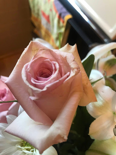 Florist «Krupp Florist», reviews and photos, 3700 W Main St, Belleville, IL 62226, USA