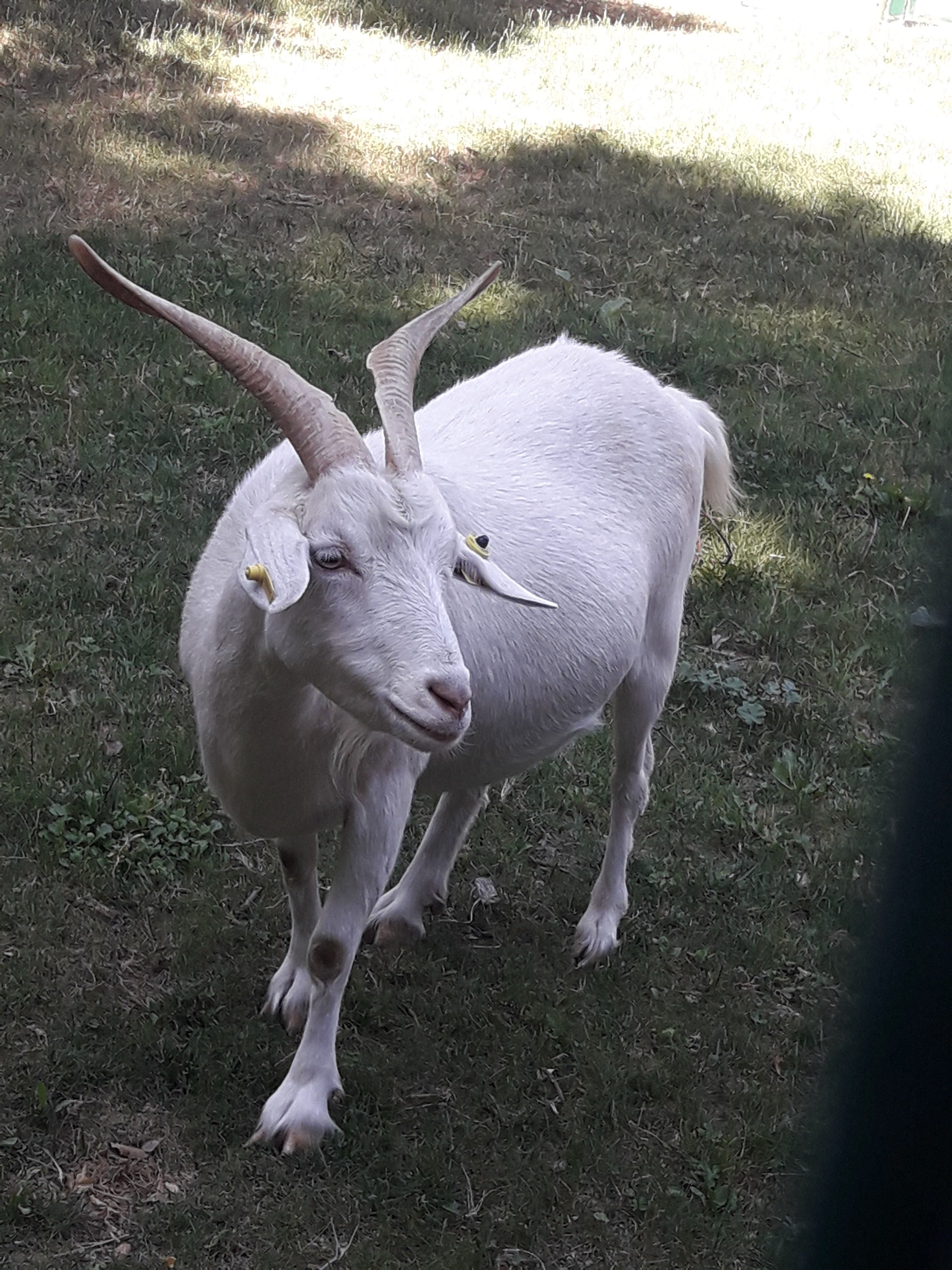 Photo n° 5 de l'avis de Lionel.a fait le 29/06/2019 à 10:44
