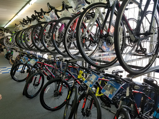Bicycle Store «Champion Cycling Inc», reviews and photos, 11447 San Jose Blvd, Jacksonville, FL 32223, USA
