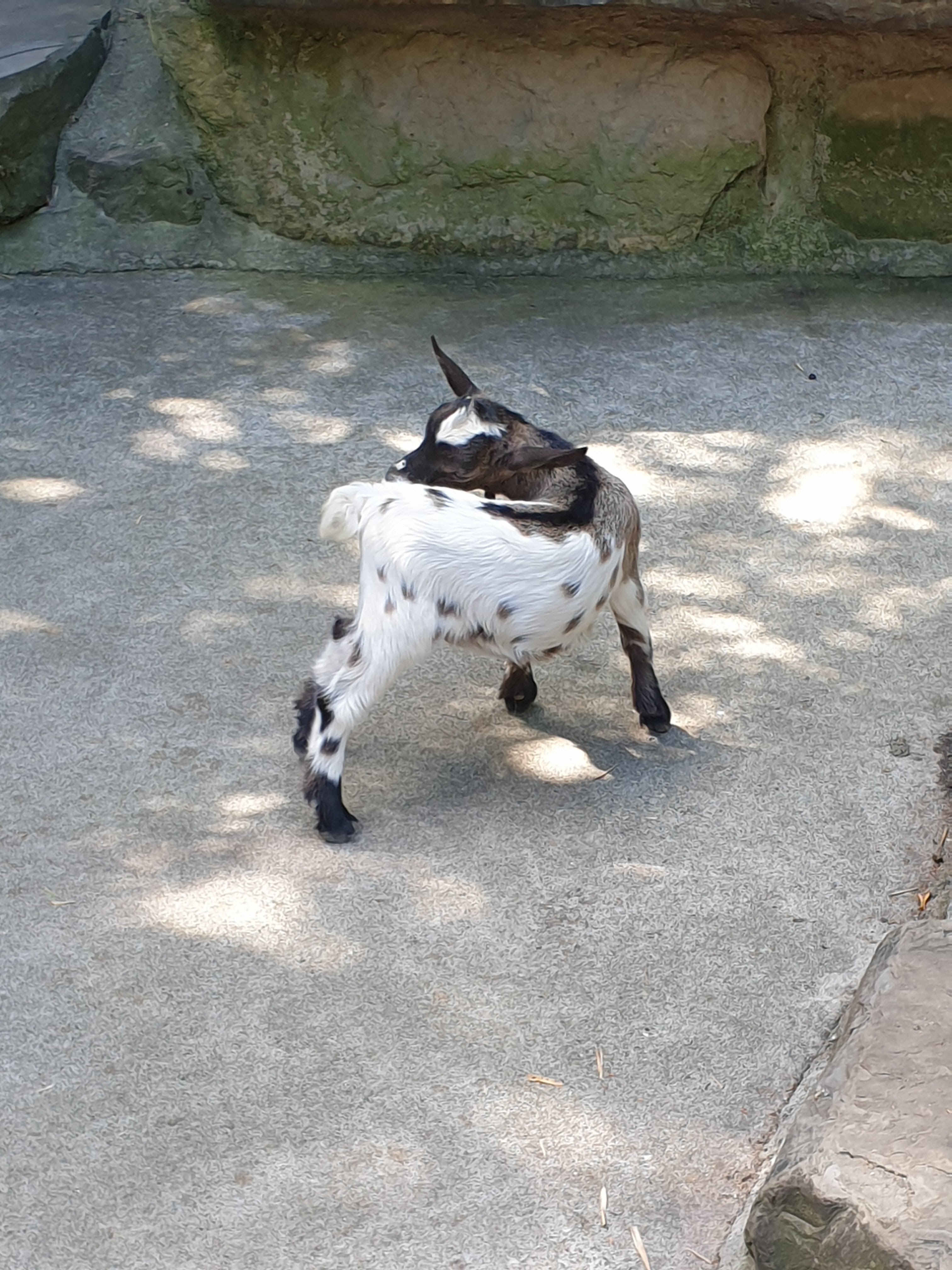 Photo n° 1 de l'avis de laurence.a fait le 15/07/2023 à 11:37