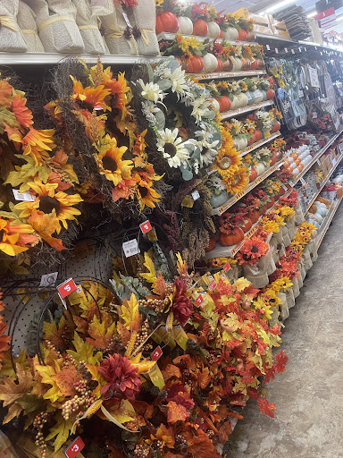 Dollar Store «FAMILY DOLLAR», reviews and photos, 1347 John F. Kennedy Blvd, Bayonne, NJ 07002, USA