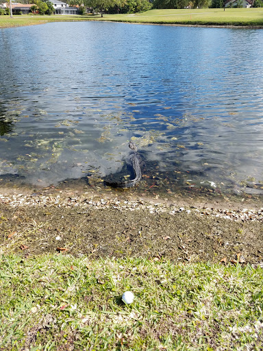 Golf Club «PGA National Golf Club», reviews and photos, 400 Ave of the Champions, Palm Beach Gardens, FL 33418, USA