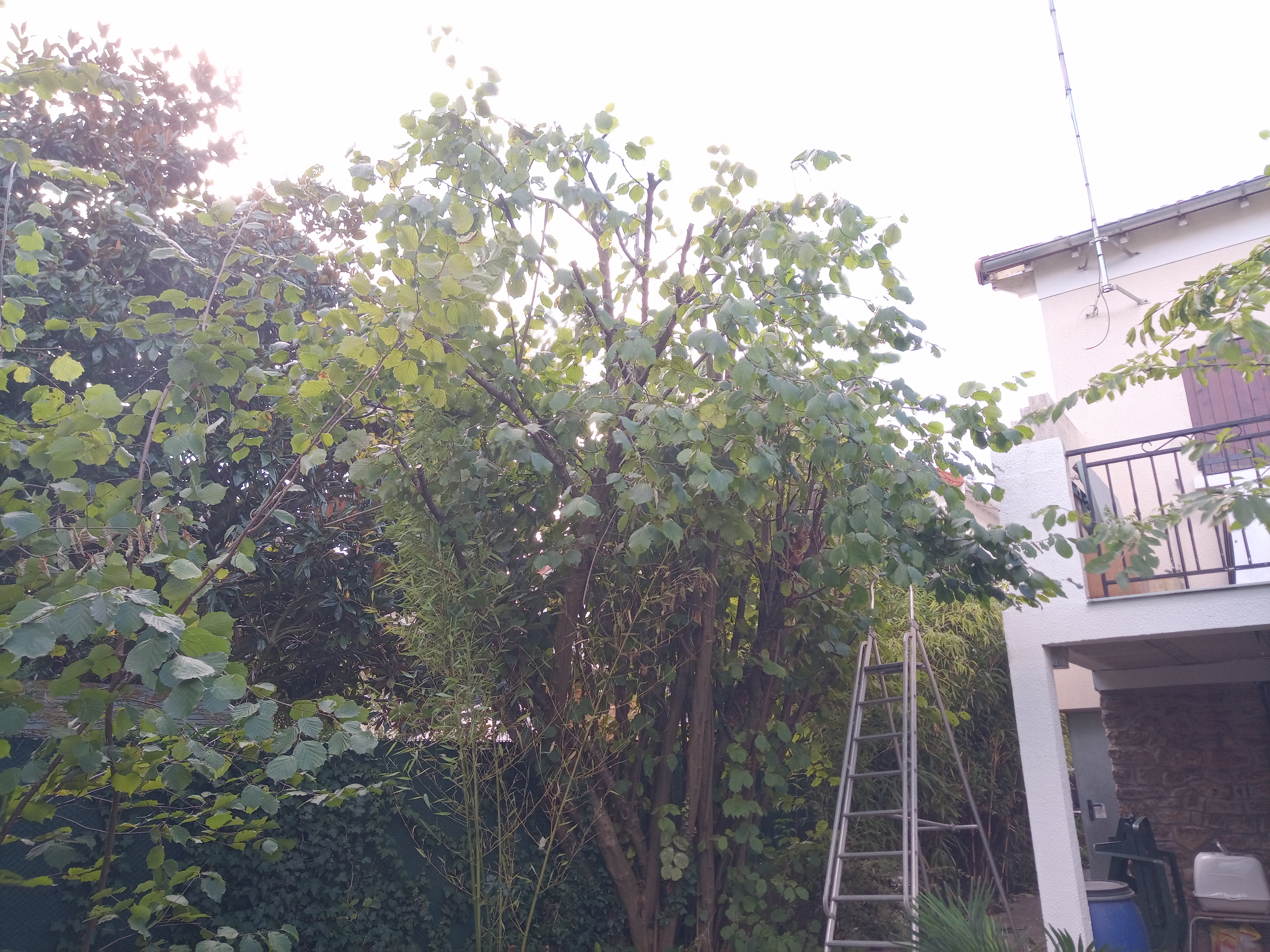 Photo n° 3 de l'avis de Ludo.i fait le 08/10/2021 à 11:08