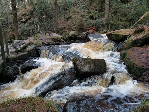 Wyming Brook Nature Reserve