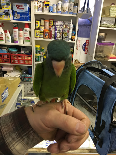 Pet Store «Mike Pet Center LLC», reviews and photos, 133 NJ-35, Neptune City, NJ 07753, USA