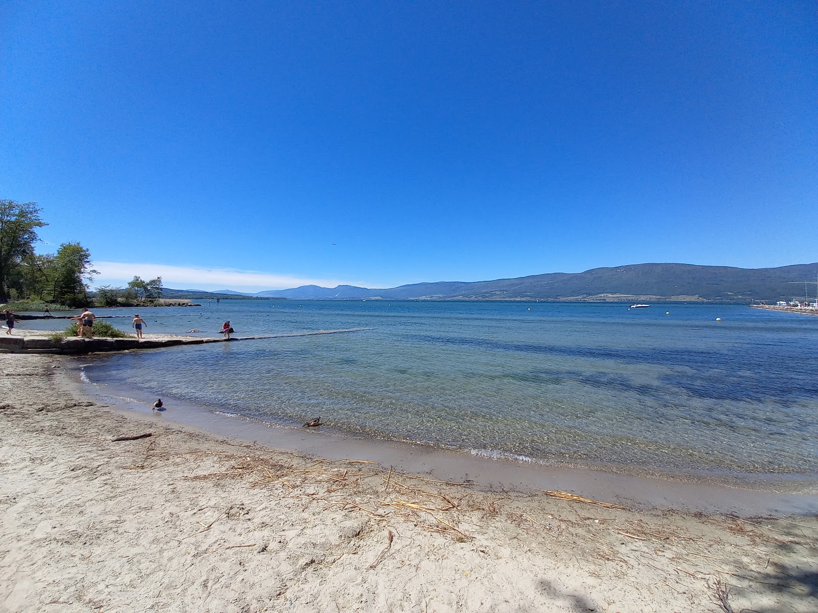 Foto di Plage de Cheyres con una superficie del sabbia beige