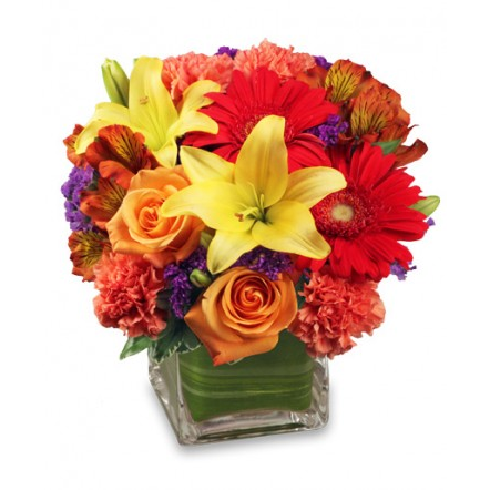 Florist «Absolutely Flowers Inc», reviews and photos, 430 NY-211, Middletown, NY 10940, USA