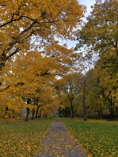 Park «East Palestine City Park», reviews and photos