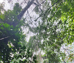 Babakan Siliwangi (Baksil) photo