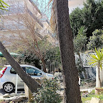 Photo n°11 de l'avis de MAURIZIO.I fait le 25/07/2022 à 08:00 sur le  ristorante pizzeria Il Gelso à Borgata Marina