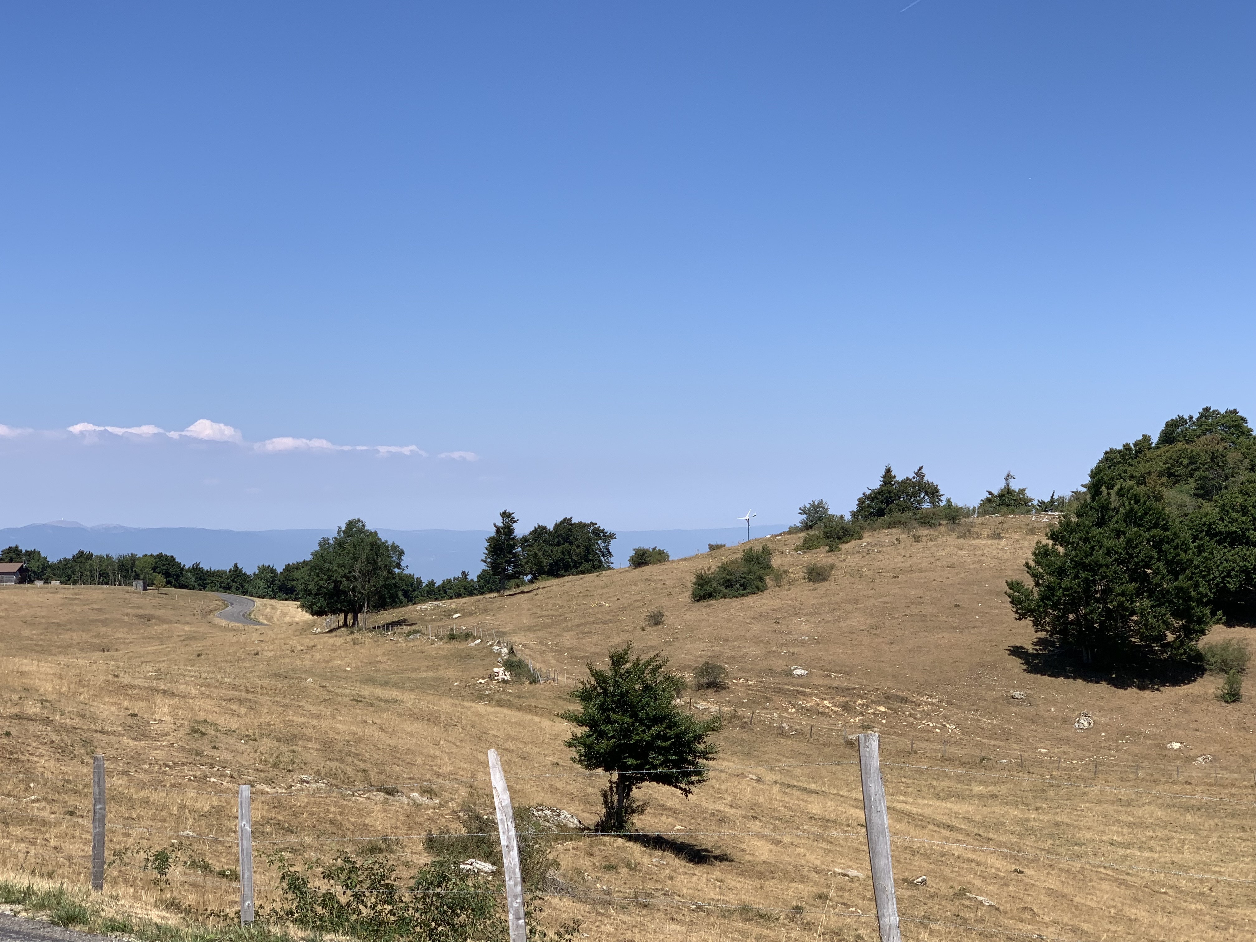 Photo n° 1 de l'avis de Wil.o fait le 12/08/2022 à 20:29