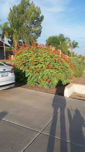 Park «Lookout Mountain Preserve», reviews and photos, 15800 N 16th St, Phoenix, AZ 85022, USA