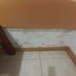 Photo n°1 de l'avis de Virgilio.e fait le 07/08/2022 à 17:36 sur le  Hotel Quinta dos Cedros à Celorico da Beira