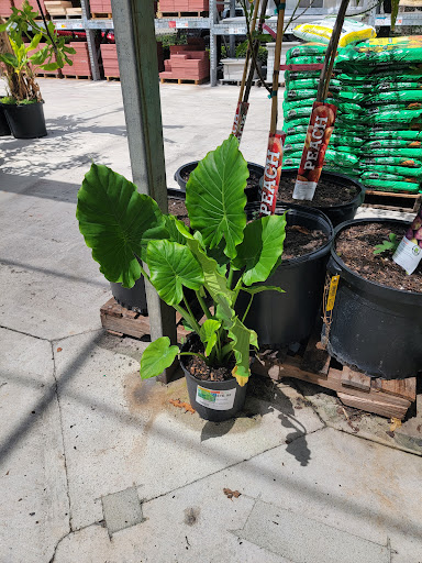 Home Improvement Store «The Home Depot», reviews and photos, 1590 W 49th St, Hialeah, FL 33012, USA