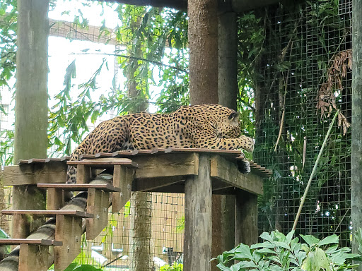 Zoo «Brevard Zoo», reviews and photos, 8225 N Wickham Rd, Melbourne, FL 32940, USA