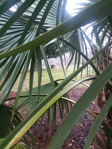 Public Golf Course «Landa Park Golf Course at Comal Springs», reviews and photos, 180 Golf Course Rd, New Braunfels, TX 78130, USA