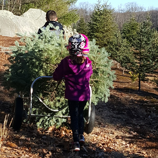 Farm «Vandervalk Farm & Winery», reviews and photos, 25 Lovell St, Mendon, MA 01756, USA