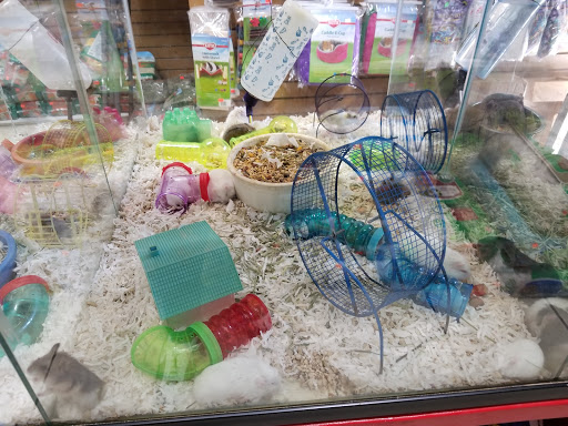 Pet Store «Pet Source 1901», reviews and photos, 1901 W 8th St B, Los Angeles, CA 90057, USA