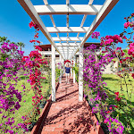 Photo n°6 de l'avis de Bruno.a fait le 14/06/2021 à 06:12 sur le  Hotel Rurale e Spa Orti di Nora à Santa Margherita di Pula